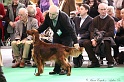 Crufts2011 236